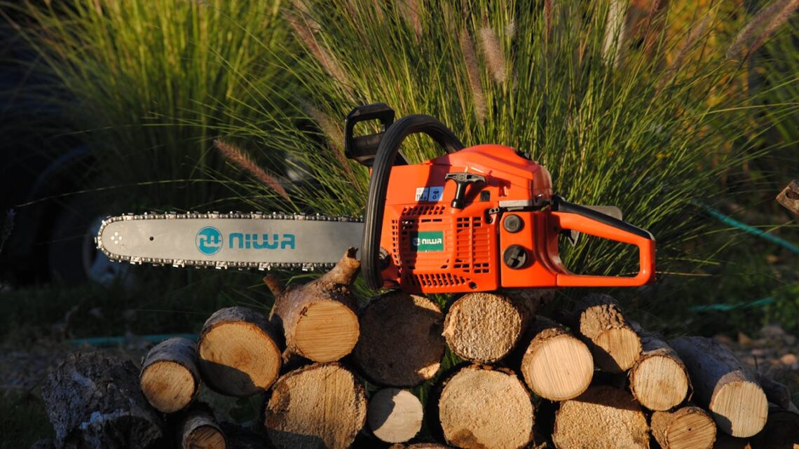 Dlaczego piła akumulatorowa sprawdza się w pracach ogrodowych?